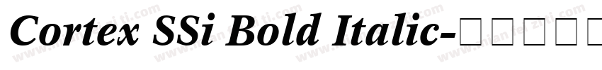Cortex SSi Bold Italic字体转换